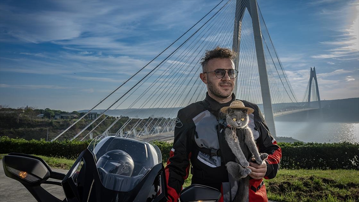 Motosikletli kedi “Gofret” İstanbul sokaklarında ilgi odağı oldu