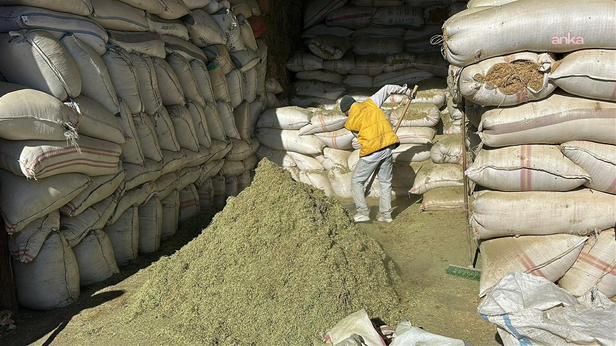 Saman fiyatları 8 bin liraya fırladı