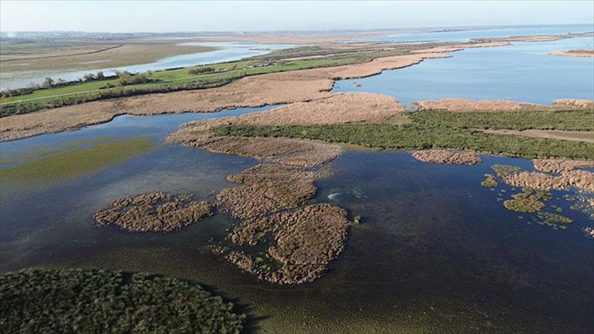 Samsun Kızılırmak Deltası’nda suları çekilen göller sonbahar yağışlarıyla canlandı