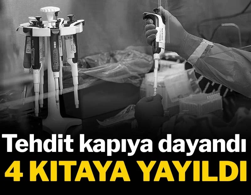 Yeni tehdit kapıda: Ölümcül virüs 4 kıtaya yayıldı Yeni tehdit kapıda: Ölümcül virüs 4 kıtaya yayıldı