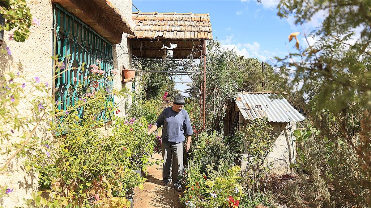 Suriyeli koleksiyoner Receb, evinde binlerce bitki türü yetiştiriyor Suriyeli koleksiyoner Receb, evinde binlerce bitki türü yetiştiriyor