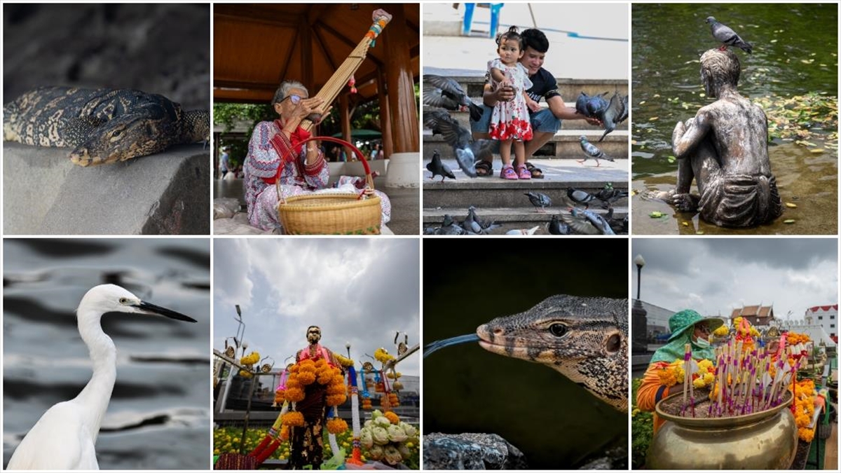 Tayland’ın Nakhon şehrindeki “Suan Rak Parkı” doğal güzelliği ve kültürel mirasıyla öne çıkıyor Tayland’ın Nakhon şehrindeki “Suan Rak Parkı” doğal güzelliği ve kültürel mirasıyla öne çıkıyor