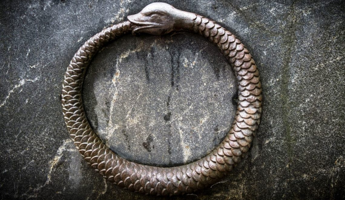 Ne piton ne kobra işte yılanların atası: Ortaya çıktı sonunda Ne piton ne kobra işte yılanların atası: Ortaya çıktı sonunda