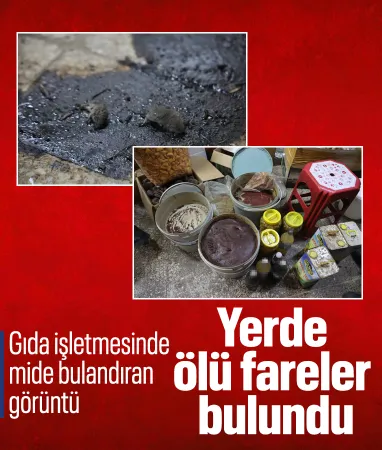 Kilis’te mide bulandıran görüntü: Merdiven altı üretimden fare çıktı
