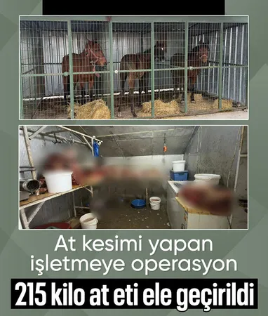 Eskişehir’de at kesimi yapan işletmeye operasyon: 215 kilo at eti ele geçirildi Eskişehir’de at kesimi yapan işletmeye operasyon: 215 kilo at eti ele geçirildi
