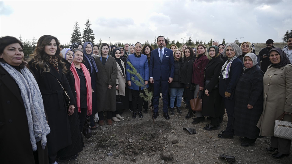 AK Parti tarafından “Türk Dünyası Hatıra Ormanı” oluşturuldu AK Parti tarafından “Türk Dünyası Hatıra Ormanı” oluşturuldu
