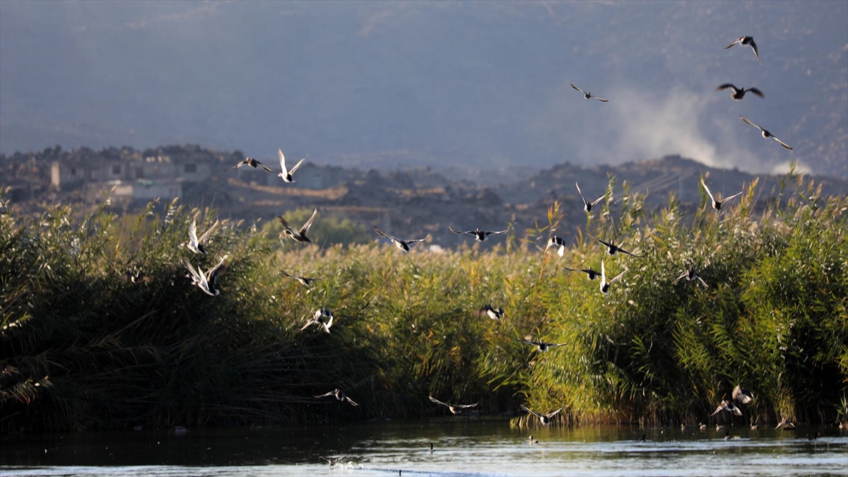 Aras Kuş Cenneti’nde 2025’te 11 bin 298 kuş halkalandı Aras Kuş Cenneti’nde 2025’te 11 bin 298 kuş halkalandı