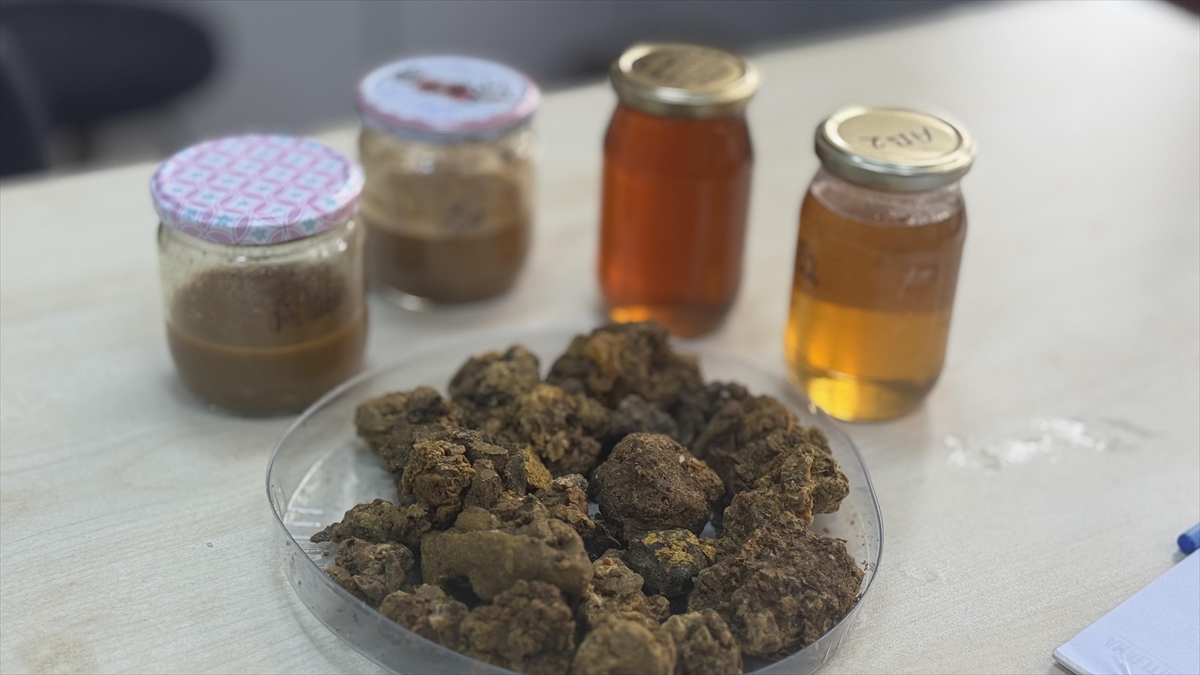 Arı ürünleri araştırmaları “KTÜ APİMER” çatısı altında sürdürülecek Arı ürünleri araştırmaları “KTÜ APİMER” çatısı altında sürdürülecek