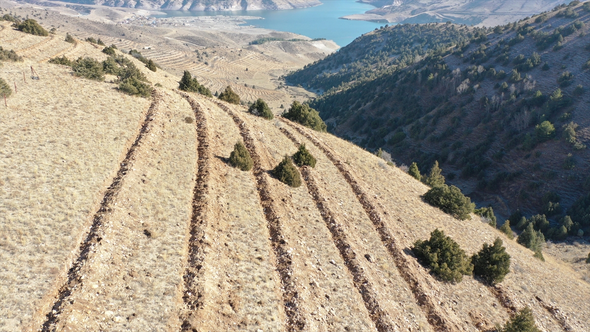Doğu’da 9 milyon tohum ve fidan toprakla buluşturuldu Doğu’da 9 milyon tohum ve fidan toprakla buluşturuldu