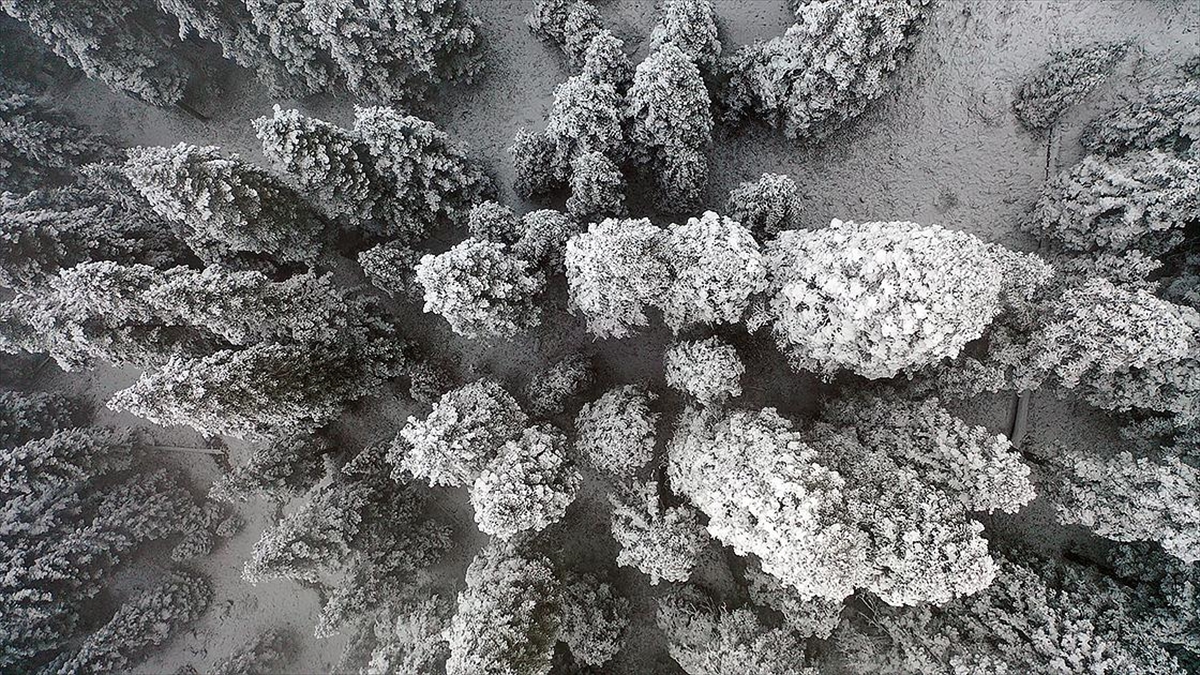 Ilgaz Dağı’nda kar ve sis etkili oldu Ilgaz Dağı’nda kar ve sis etkili oldu