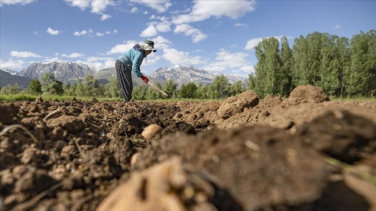 IPARD-III kapsamında 156 yerel eylem grubuna 2,2 milyar lira hibe desteği verilecek
