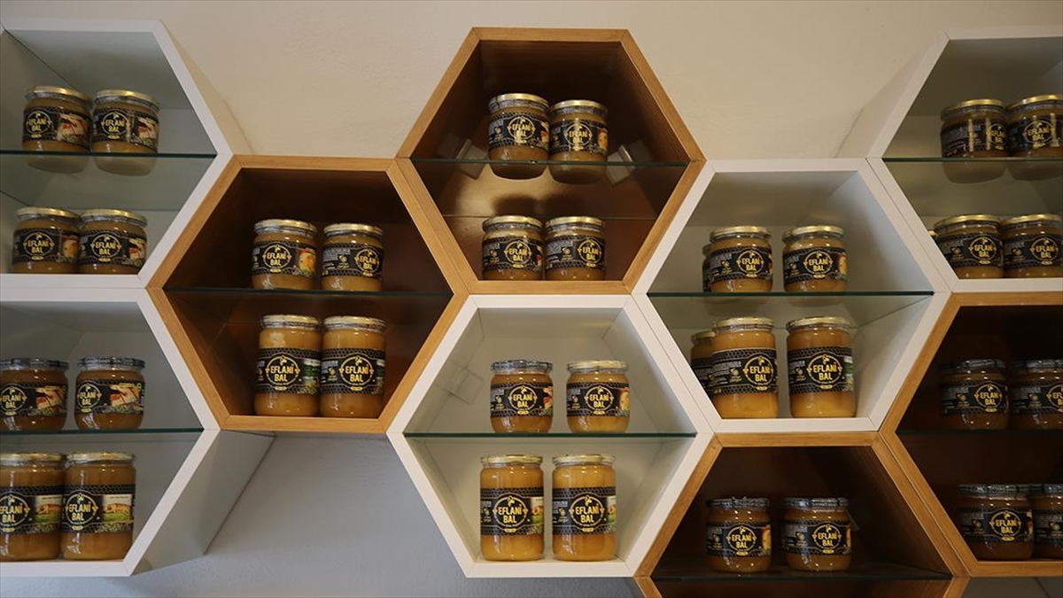 Karabük’te gençlerin ve kadınların istihdamını hedefleyen arıcılık projesi tamamlandı