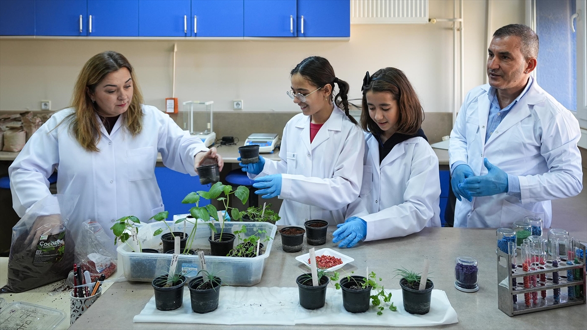 Öğrenciler “yeşil vatan” için en hızlı filizlenen tohum topunu araştırdı