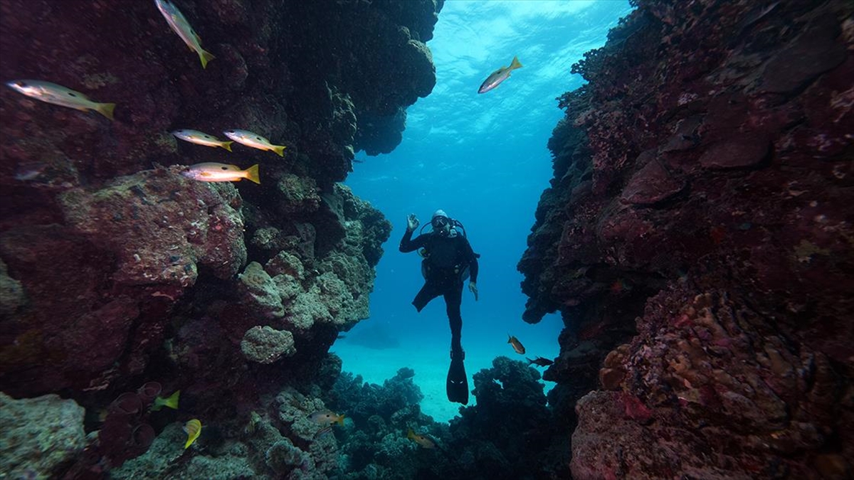 Su altı görüntü yönetmeni Tahsin Ceylan bedensel engelli Özgür Akçı’yla Kızıldeniz’e daldı