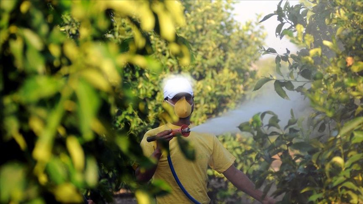 5 soruda tarımda “B-Reçete” uygulaması