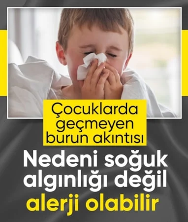 Kış boyu geçmeyen burun akıntısı: Soğuk algınlığı değil alerji olabilir