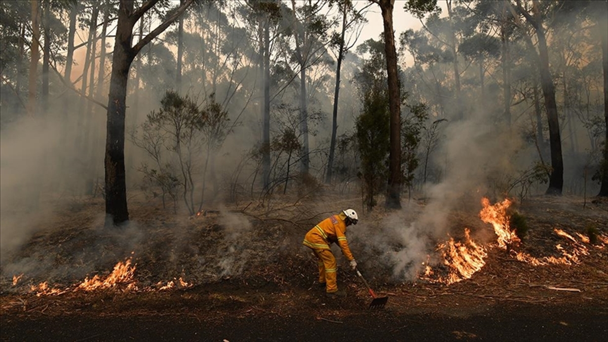 Avustralya’da aşırı sıcaklık uyarıları verilen Victoria eyaletinde yangınla mücadele sürüyor