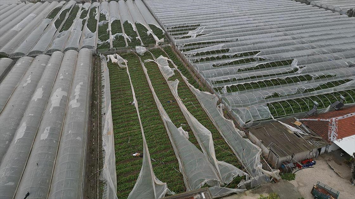 Bakan Yumaklı’dan Antalya’daki sel ve hortumdan etkilenen üreticilere ilişkin açıklama