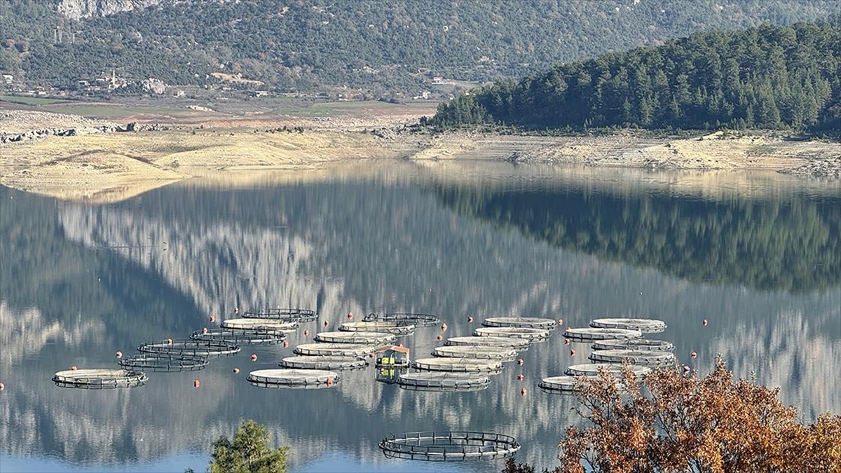 Burdur’daki Karacaören Barajı’nda üretilen alabalık ve somon yurt dışından alıcı buluyor Burdur’daki Karacaören Barajı’nda üretilen alabalık ve somon yurt dışından alıcı buluyor