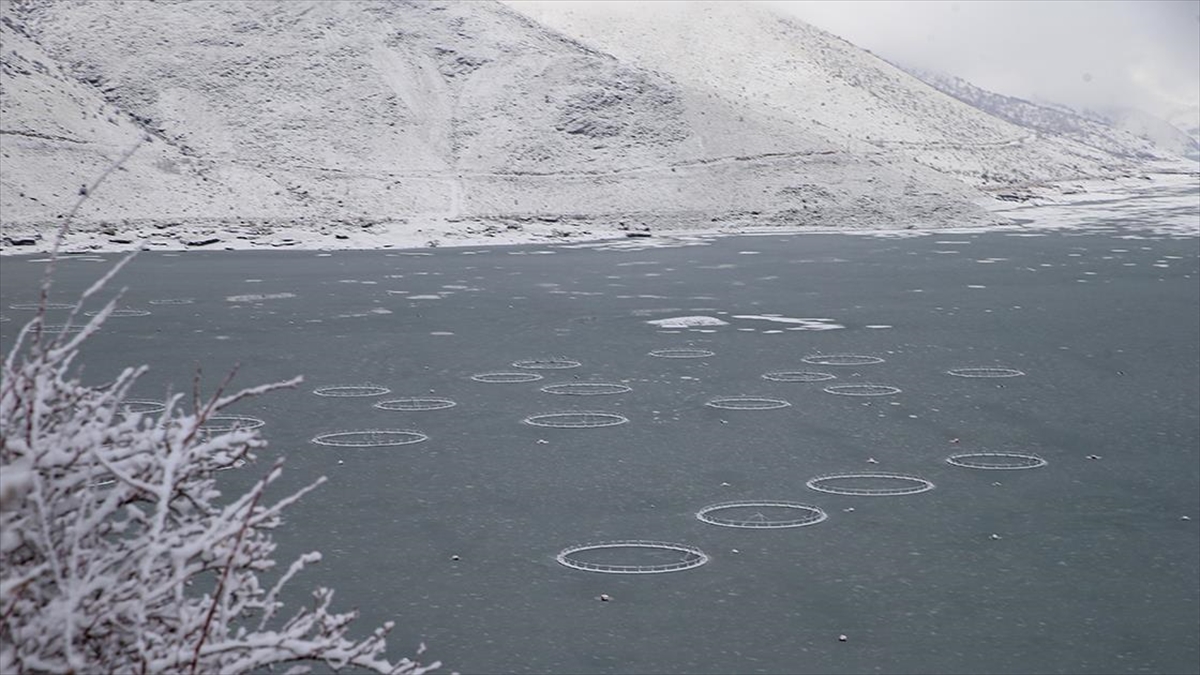 Çat Barajı’ndaki “yüzen adalar” buz tuttu