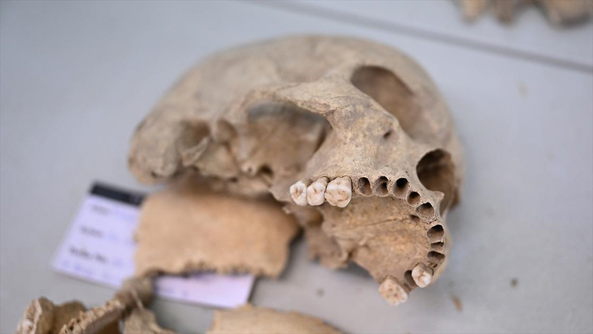 Çayönü Tepesi’nde yaşayan insanların genetik haritası çıkarılıyor