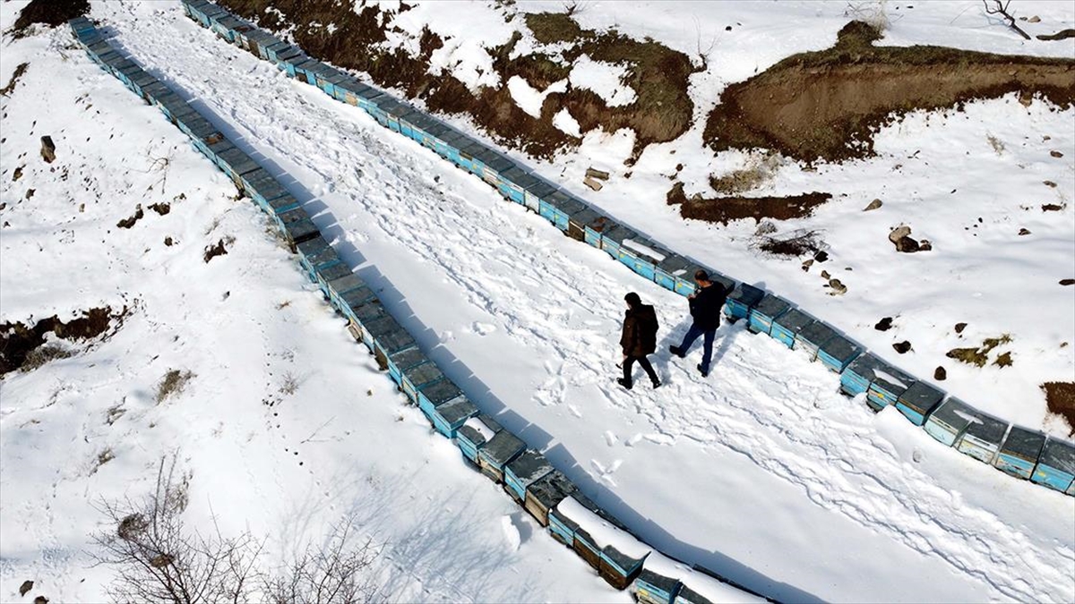 Depremden etkilenen Elazığ’da arıcı ve besiciler yaralarını devlet desteğiyle sardı