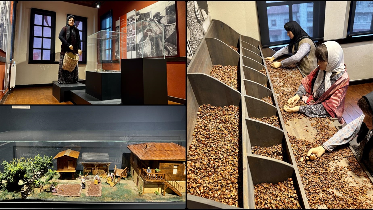 Fındığın bahçeden sofraya yolculuğunu anlatan müze yaklaşık 60 bin ziyaretçiyi ağırladı