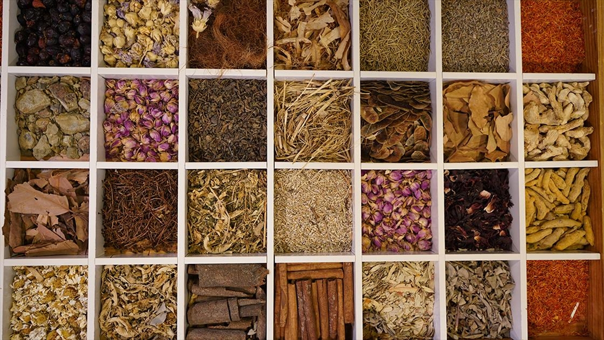 Güneydoğu Anadolu’nun hububat, bakliyat ve yağlı tohumlar ihracatı 2025’te yüzde 3,6 arttı