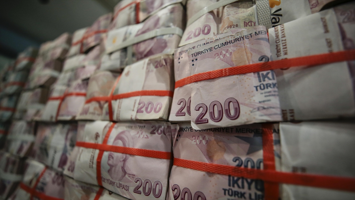 Hazine’nin 2025 yılı vergi dışı normal gelirleri 80,9 milyar lira oldu