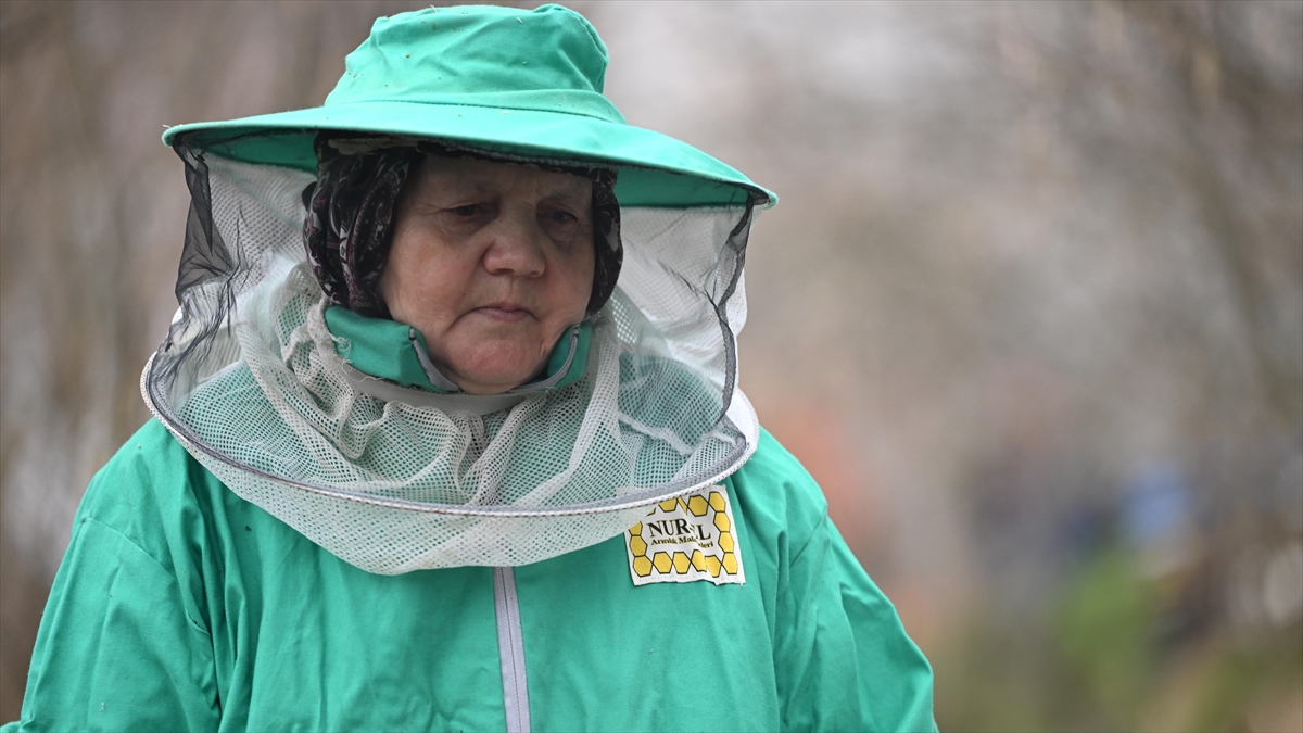 Kadın arıcı ata mesleğini 45 yıldır sürdürüyor Kadın arıcı ata mesleğini 45 yıldır sürdürüyor