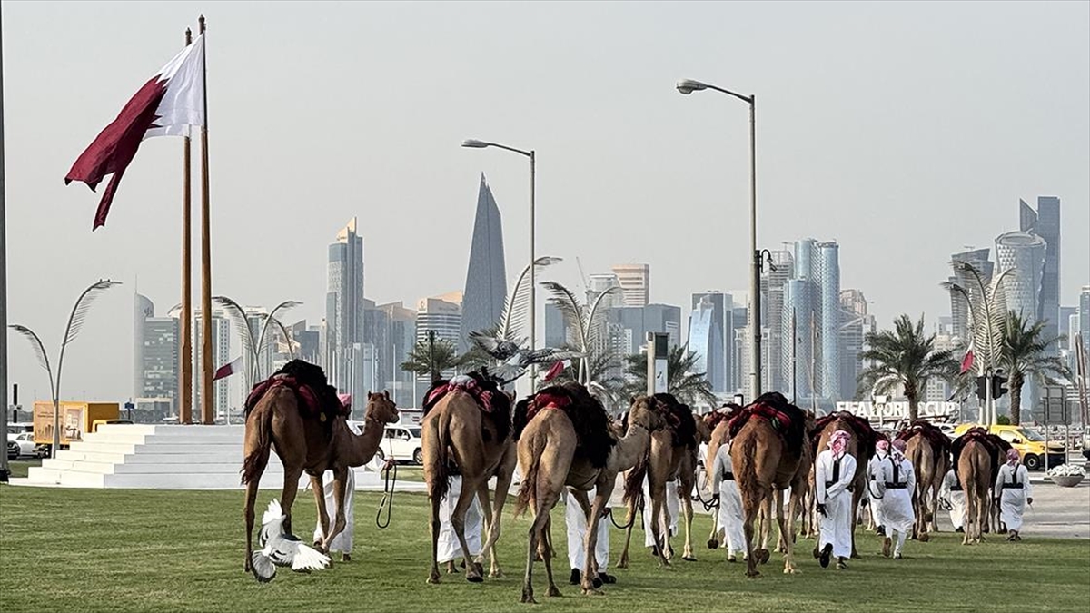 Katar’da, günlük “deve geçidi” geleneği devam ediyor