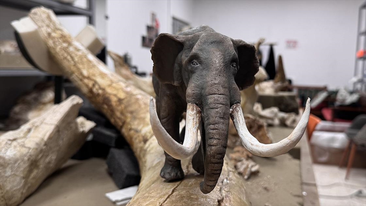 Kayseri’de bulunan dev hayvan fosillerinin minyatürleri yapılıyor