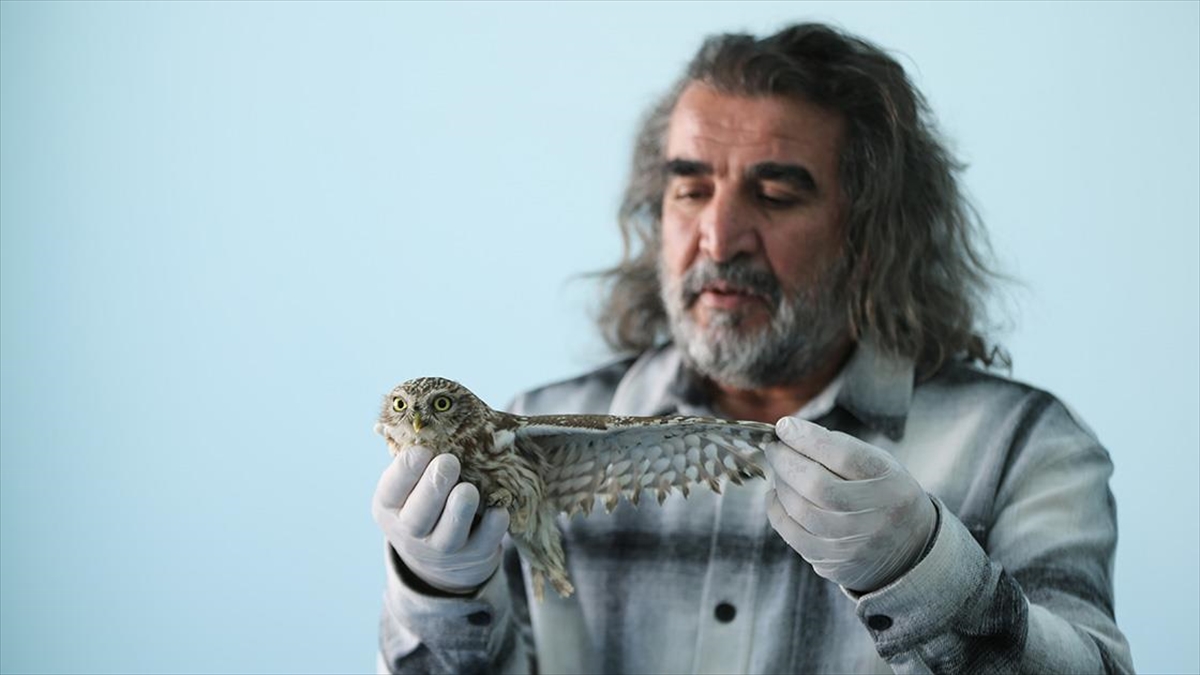 Kışın zorlu şartlarına dayanamayan yaban hayvanları Van’daki merkezde misafir ediliyor Kışın zorlu şartlarına dayanamayan yaban hayvanları Van’daki merkezde misafir ediliyor