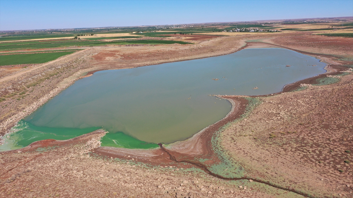 Şanlıurfa’da kuraklık nedeniyle alarm veren gölete son dönemdeki yağışlar can suyu oldu Şanlıurfa’da kuraklık nedeniyle alarm veren gölete son dönemdeki yağışlar can suyu oldu