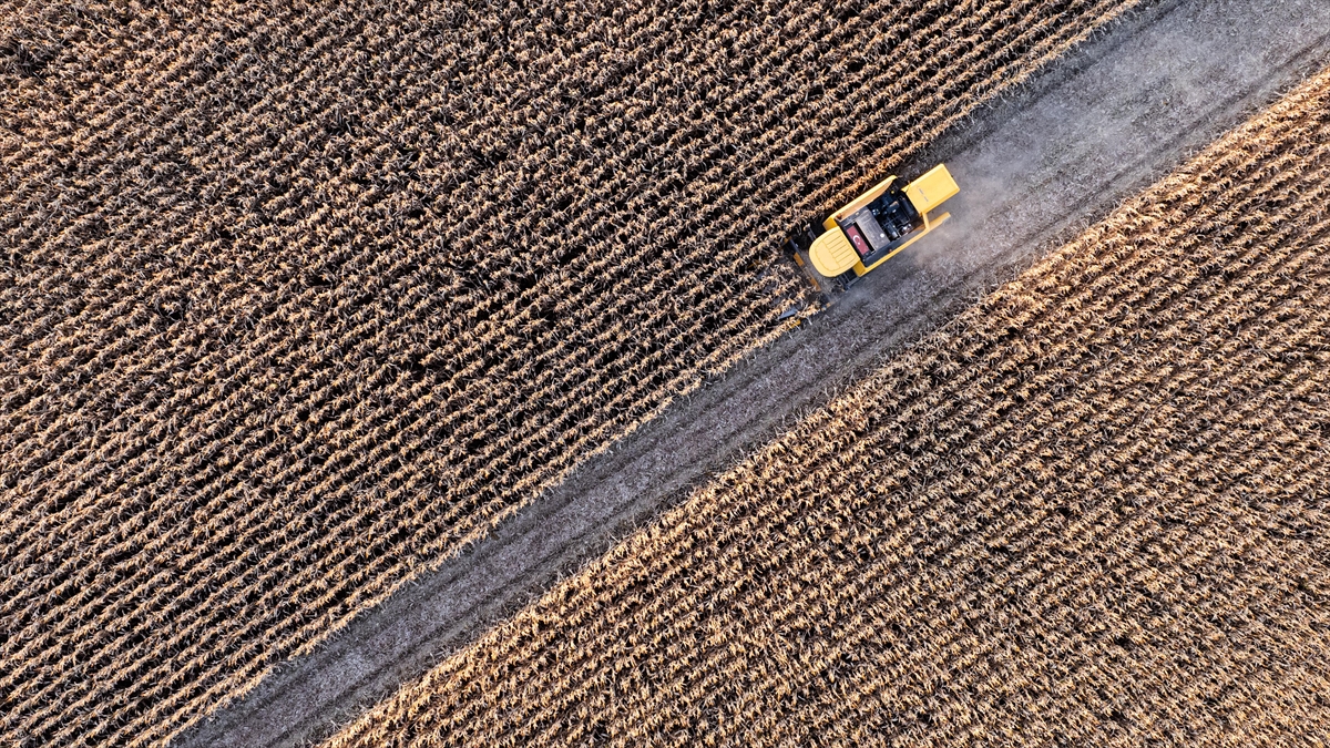 Tarımsal girdi fiyat endeksi Kasım 2025’te aylık yüzde 1,84, yıllık yüzde 34,24 arttı Tarımsal girdi fiyat endeksi Kasım 2025’te aylık yüzde 1,84, yıllık yüzde 34,24 arttı