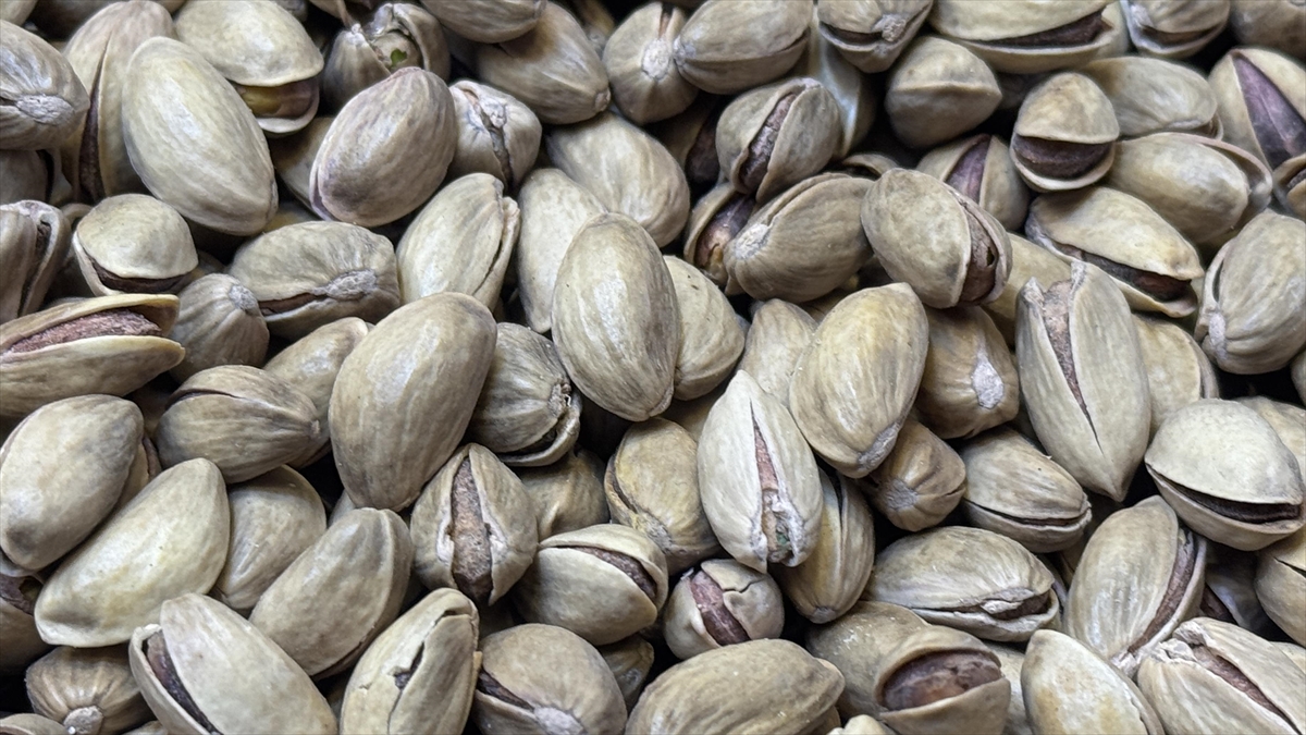 Türkiye’den geçen yıl 178 milyon dolarlık Antep fıstığı ihraç edildi