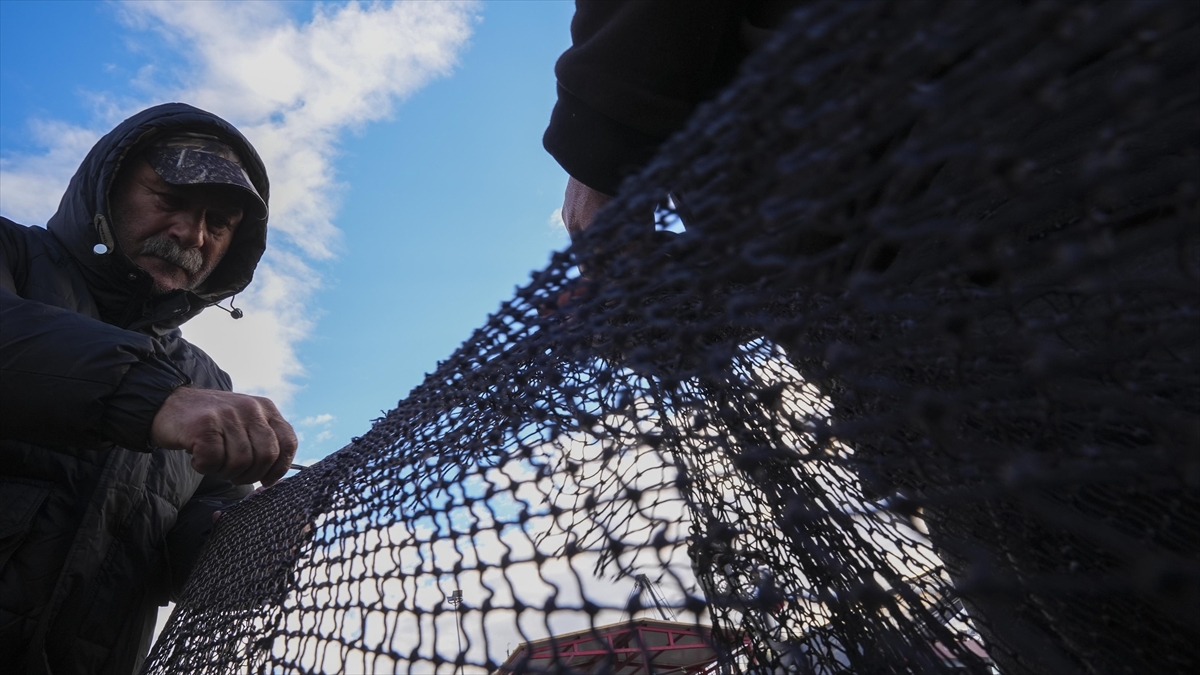 Yarısı tamamlanan av sezonunda hamsi ve sardalya yüz güldürdü