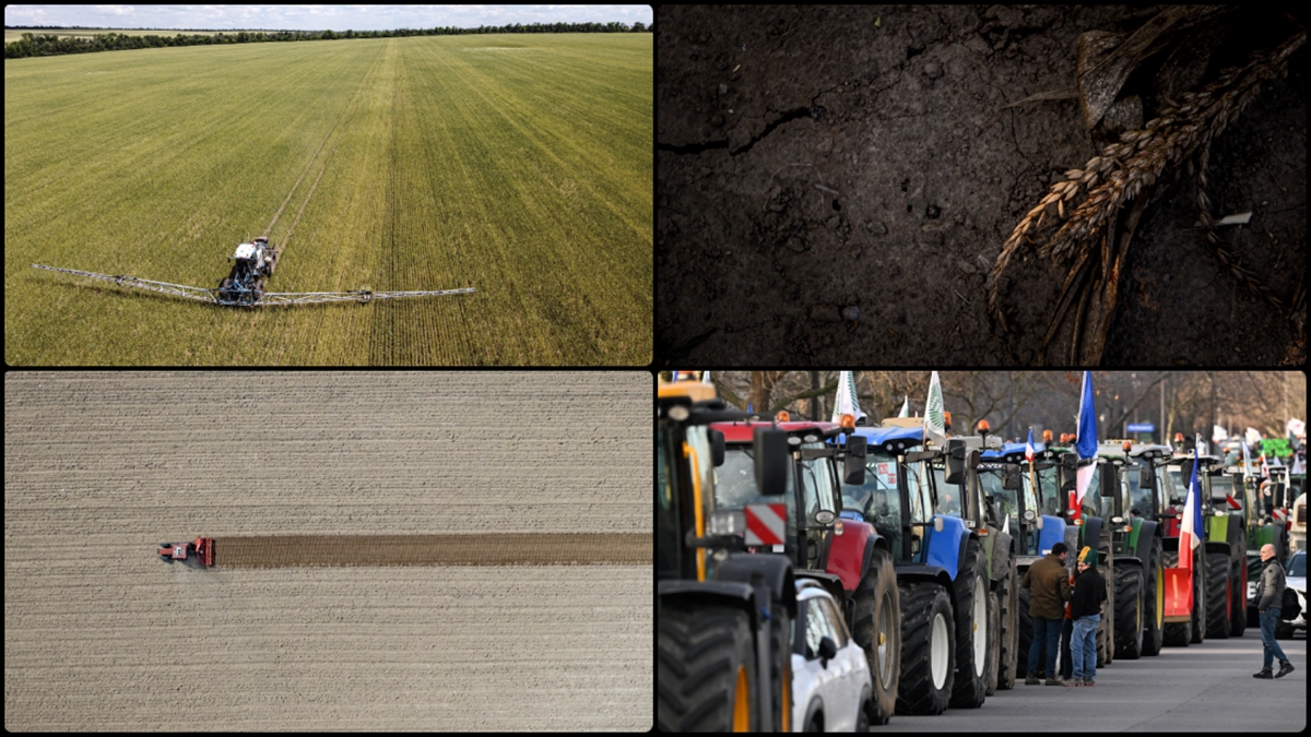 AB’de tarım topraklarının bozulmasının maliyeti yıllık 50 milyar avroya ulaşıyor AB’de tarım topraklarının bozulmasının maliyeti yıllık 50 milyar avroya ulaşıyor