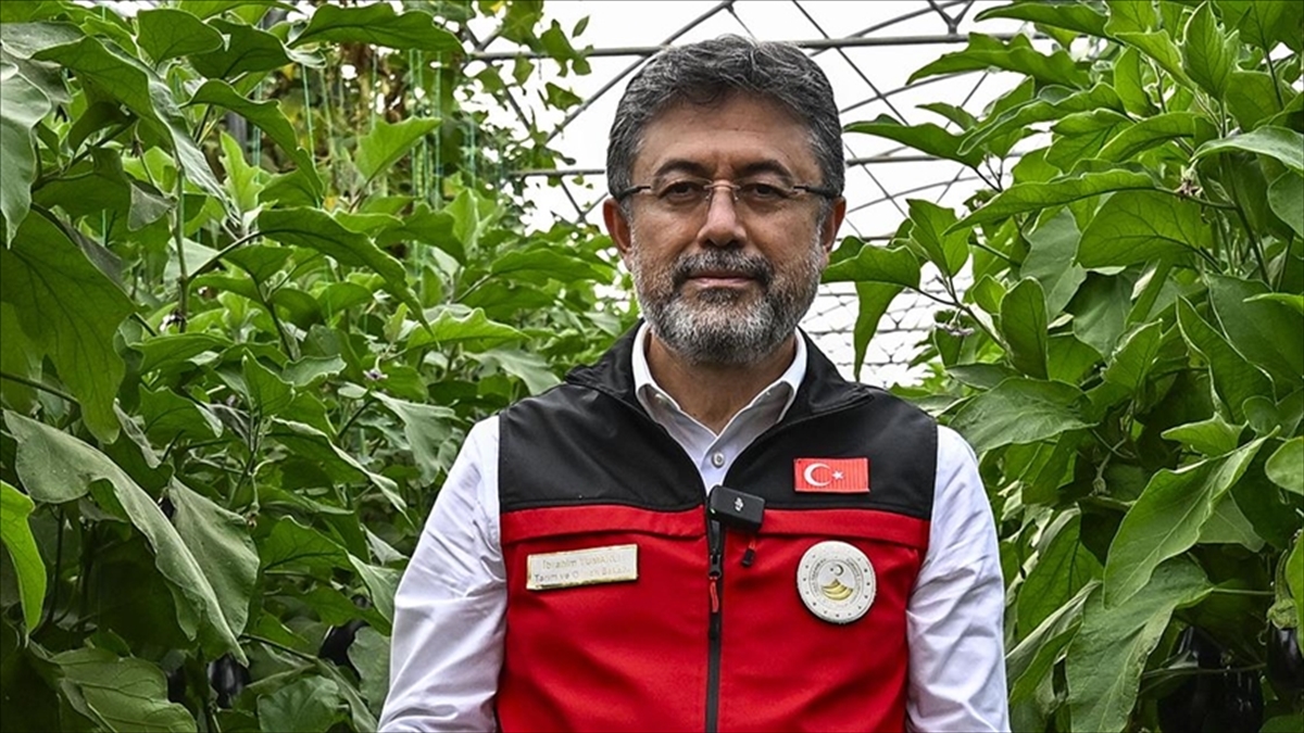 Bakan Yumaklı, sertifikalı tohum üretimi ve ihracatında yükselişin sürdüğünü bildirdi