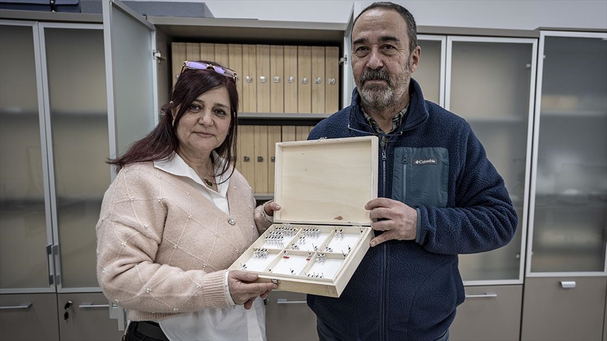 Bilim insanı çift, keşfettikleri böcekleri şehir ve bitki adıyla literatüre kazandırdı