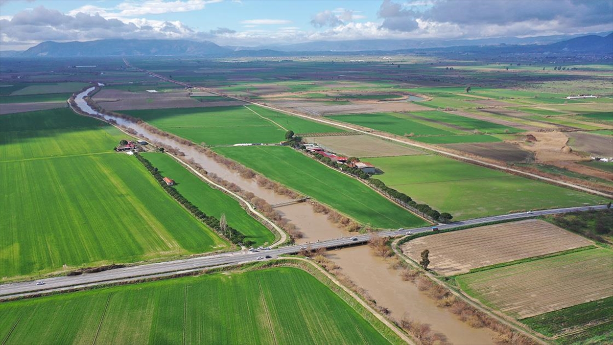 Büyük Menderes Nehri yağmur sularıyla güçlendi Büyük Menderes Nehri yağmur sularıyla güçlendi