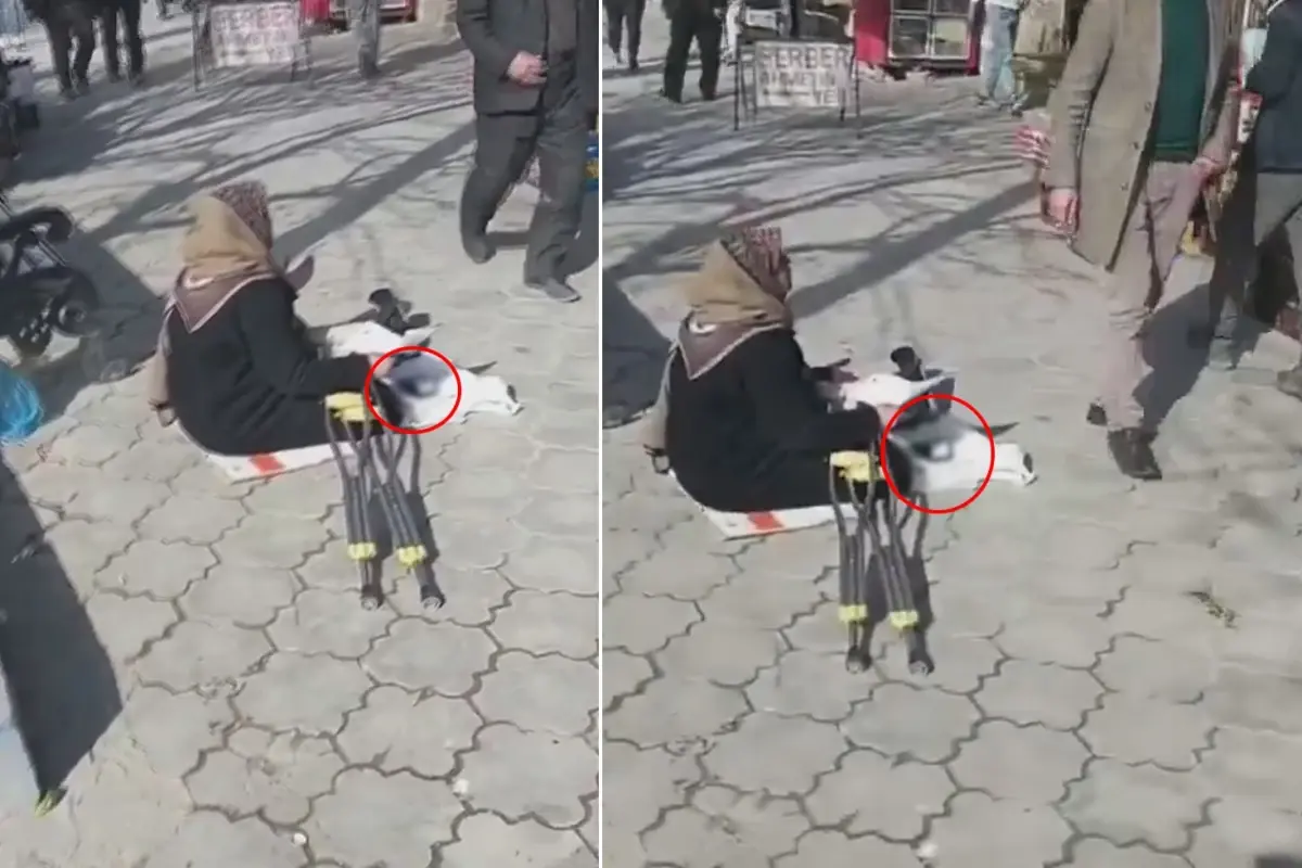 Dilencinin önündekini gören küçük dilini yuttu: Vergi mükellefidir yani…