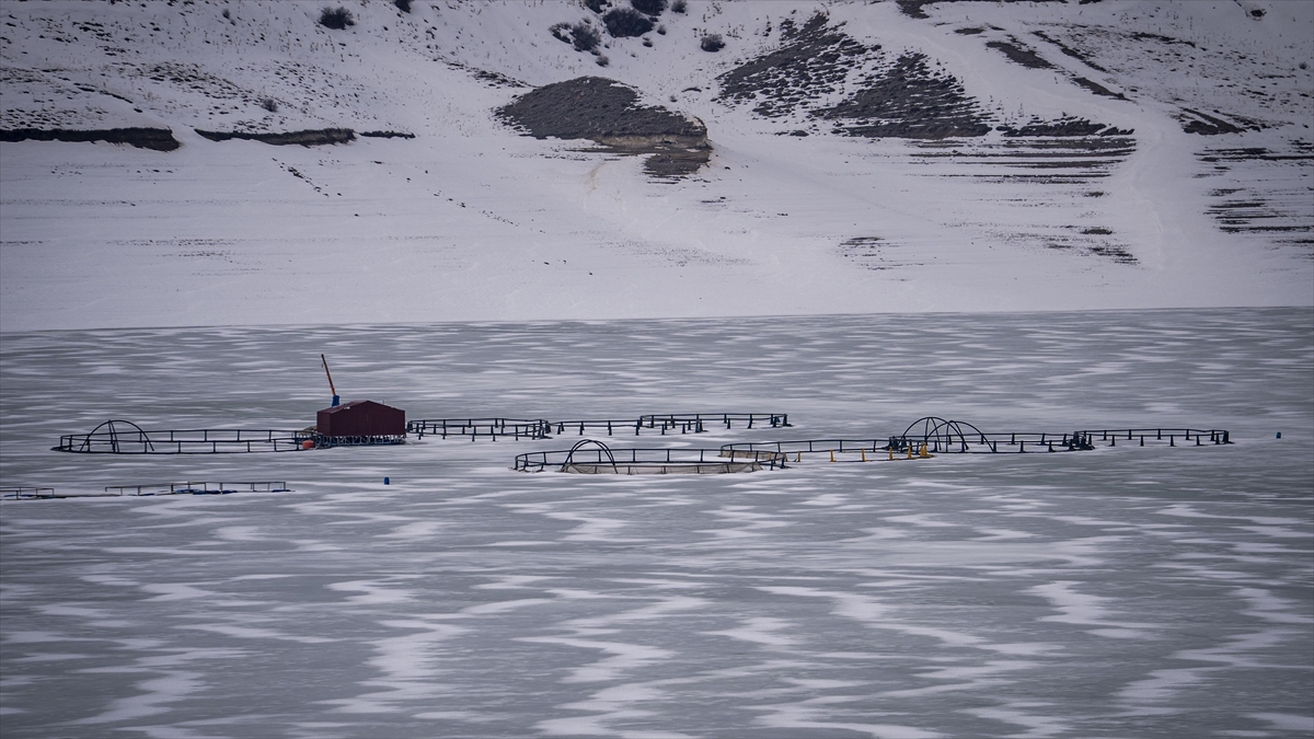 Erzurum’daki Demirdöven Barajı’nın yüzeyi buz tuttu Erzurum’daki Demirdöven Barajı’nın yüzeyi buz tuttu