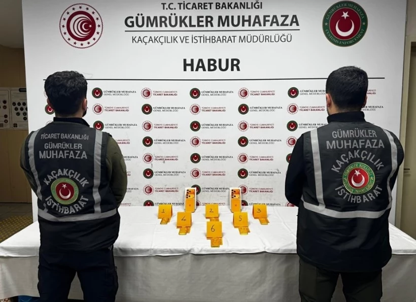 Habur’da 41 kilo kaçak altın ele geçirildi