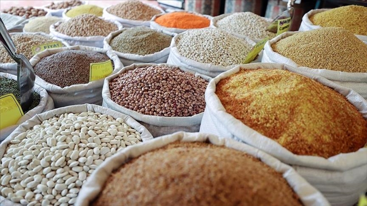 Güneydoğu Anadolu’dan ocak ayında 279,9 milyon dolarlık hububat ihracatı yapıldı