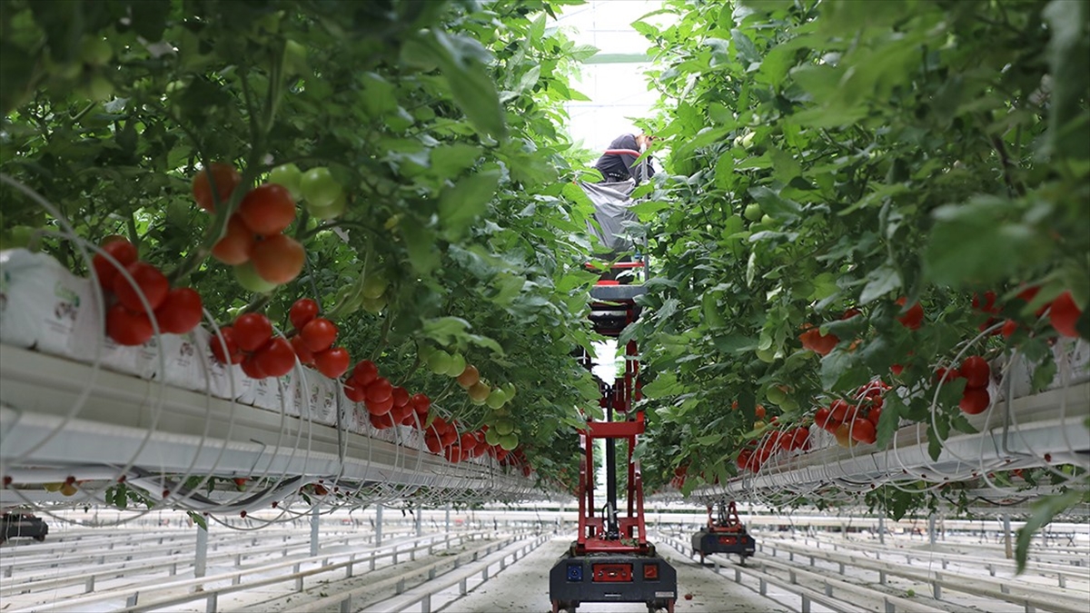 IPARD-III kapsamında 214 projeye 1,7 milyar lira hibe verilecek IPARD-III kapsamında 214 projeye 1,7 milyar lira hibe verilecek