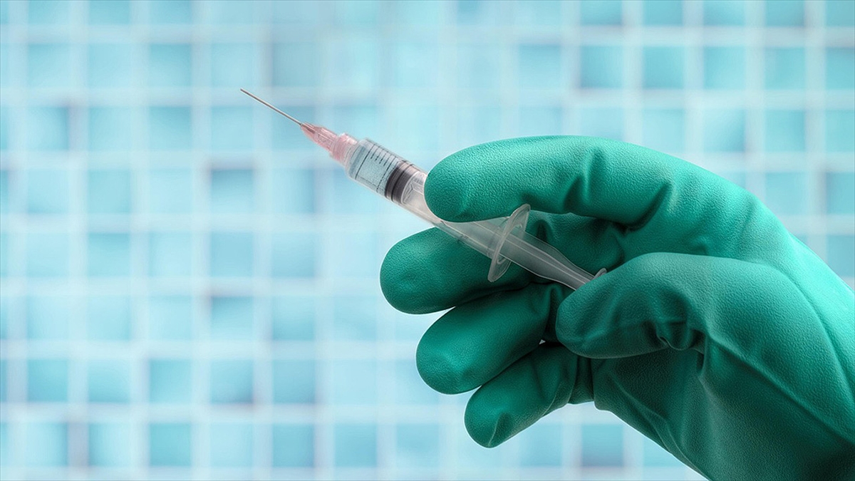 İstanbul’da 2025’te kuduz riskli temas nedeniyle yaklaşık 124 bin kişi hastanelere başvurdu