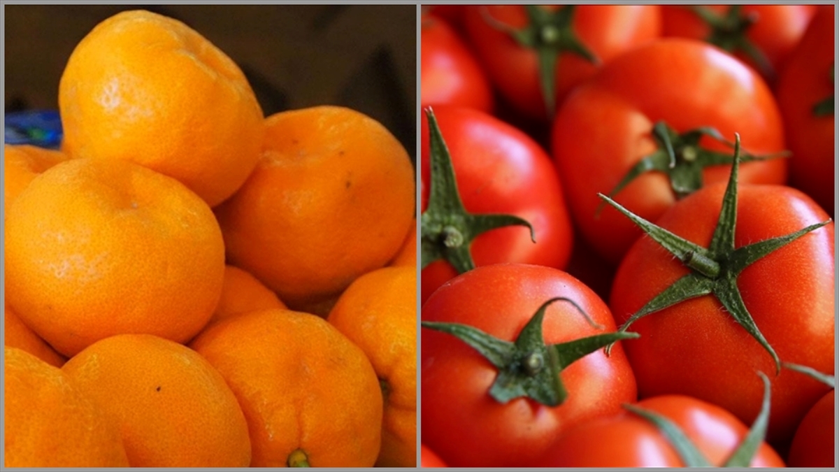 İstanbul’da ocakta en çok mandalina ve domates tüketildi