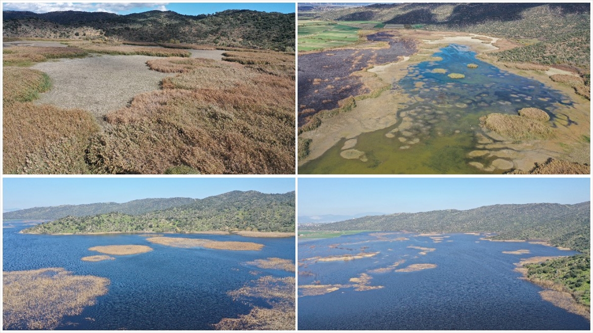 Kış yağışları Aydın’daki Azap Gölü’ne can verdi