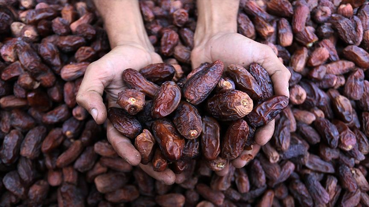 Ramazanın yıldızı hurma için 5 yılda yaklaşık 279 bin ton ithalat